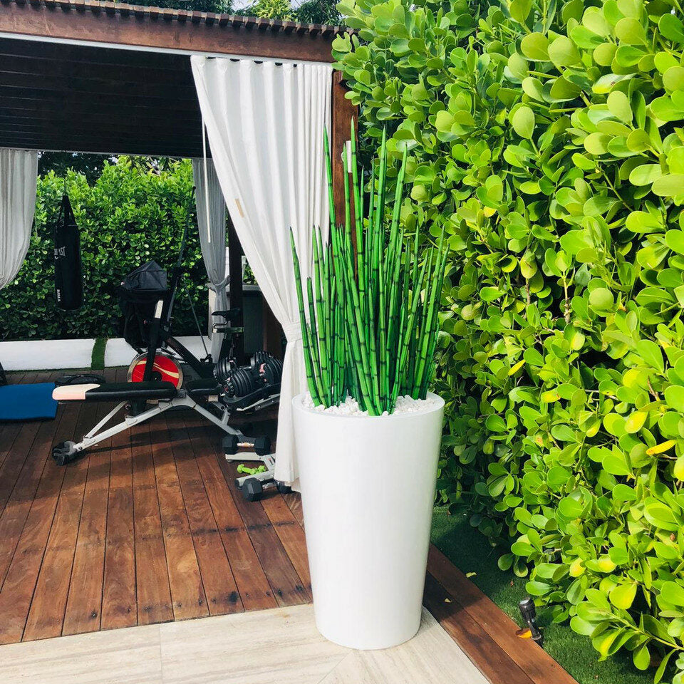 Herbe aux serpents (1,20 m) avec Belle L