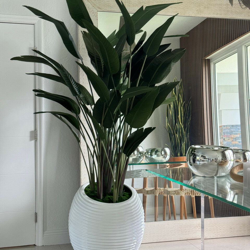 Oiseau de paradis dans un vase en spirale blanc