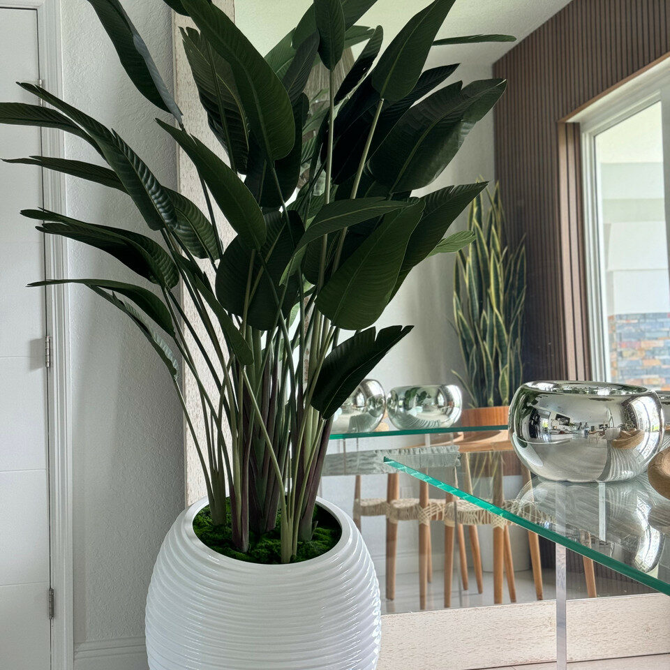 Oiseau de paradis dans un vase en spirale blanc