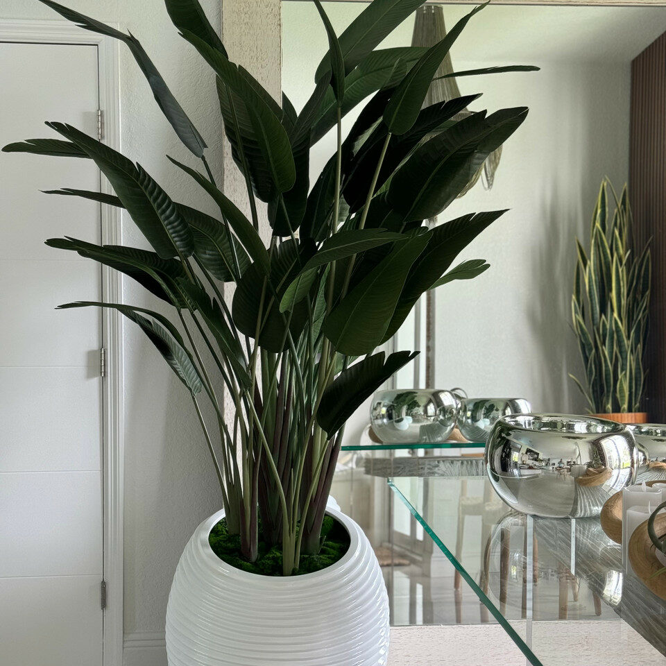 Oiseau de paradis dans un vase en spirale blanc