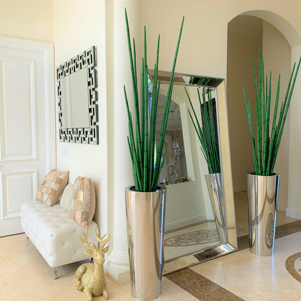 Grand vase conique en acier inoxydable poli avec une grande plante d'herbe à serpent