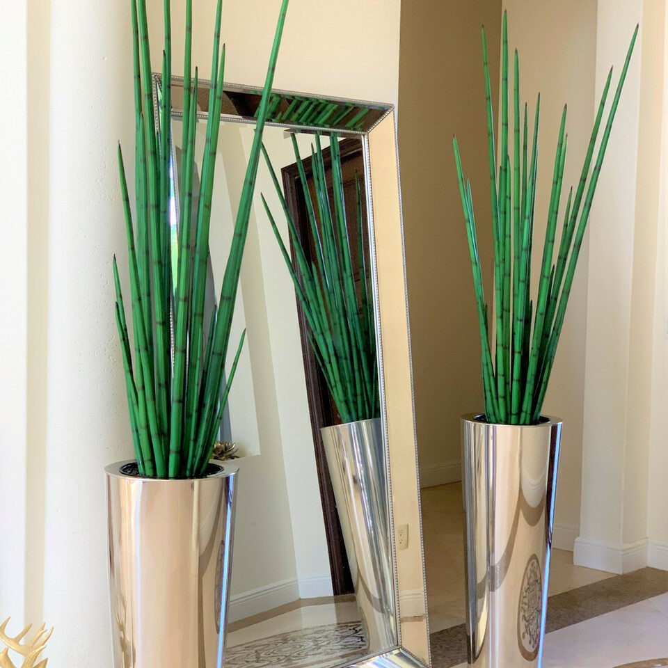 Grand vase conique en acier inoxydable poli avec une grande plante d'herbe à serpent