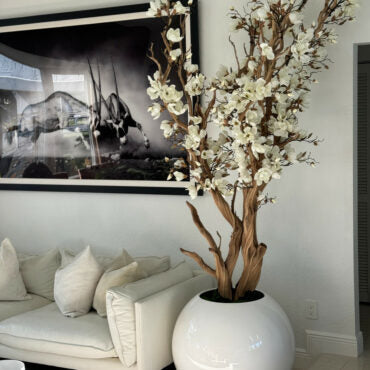 Magnolia blanc dans un globe en verre blanc brillant 30″