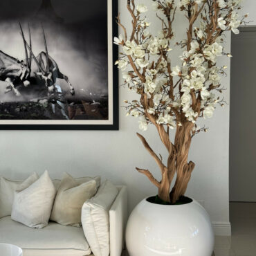 Magnolia blanc dans un globe en verre blanc brillant 30″