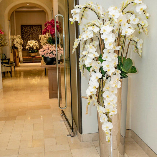 Orchidées Phalaenopsis en cascade sur un cône conique en acier inoxydable poli