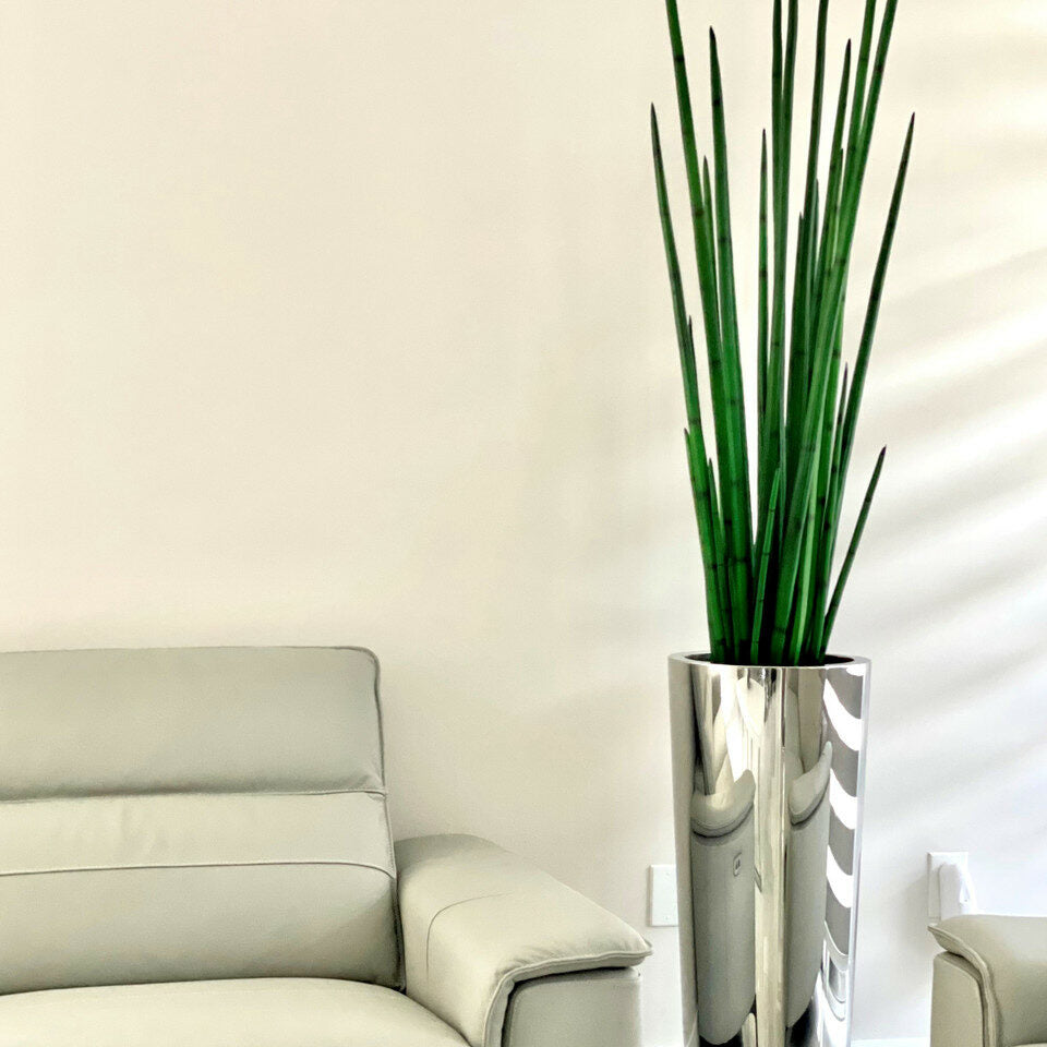 Grand vase conique en acier inoxydable poli avec une grande plante d'herbe à serpent
