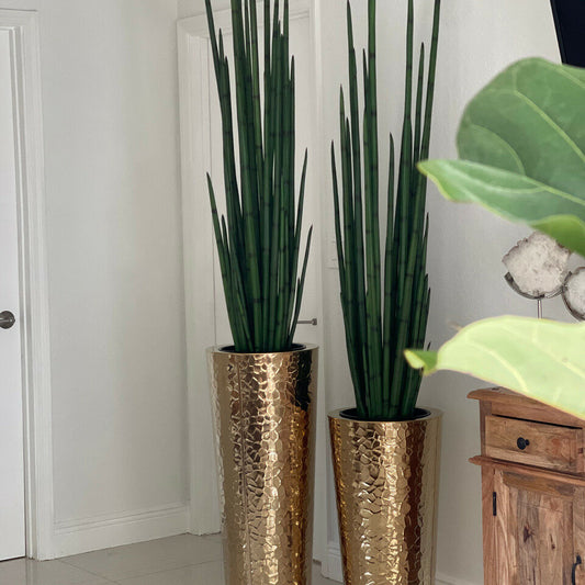 Vase conique en acier inoxydable doré avec grande herbe à serpent