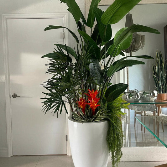 Mélange de plantes tropicales blanches et brillantes Brannan