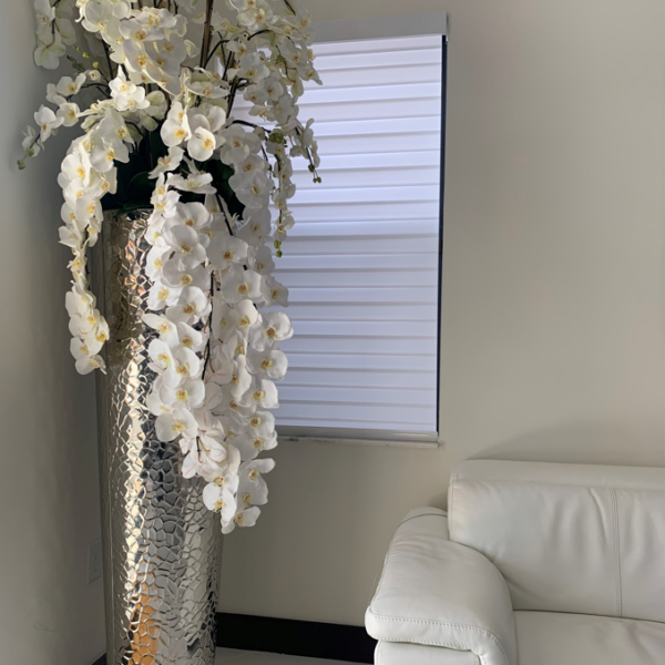 Vase extra haut d'orchidées Phalaenopsis en cascade